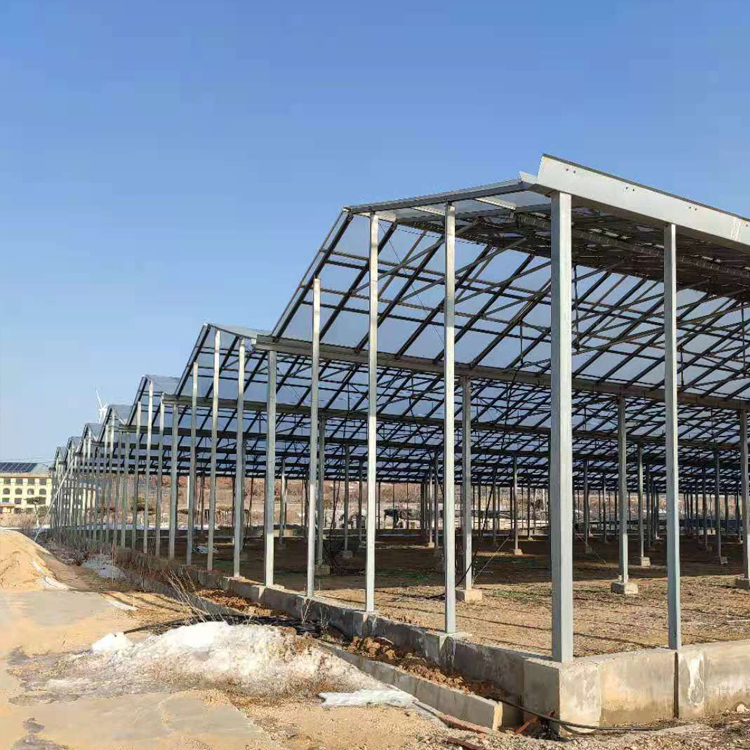 溫室公司分享農業溫室大棚建多大比較合適？
